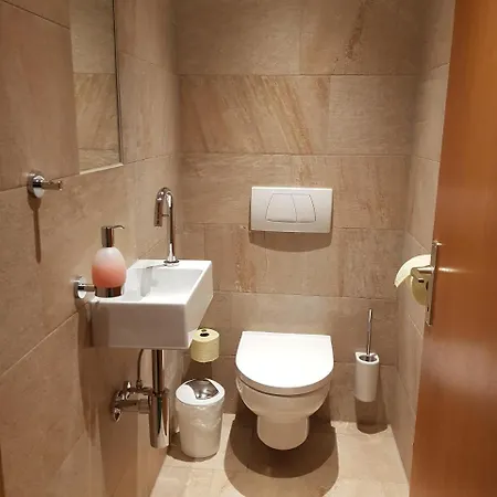 Haus Muehle * 상트갈렌키르흐